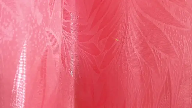 Mia Nova5 online show from July 5, 11:49 am
