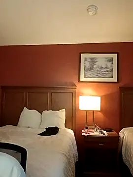 Wild dude online show from March 19, 3:00 am