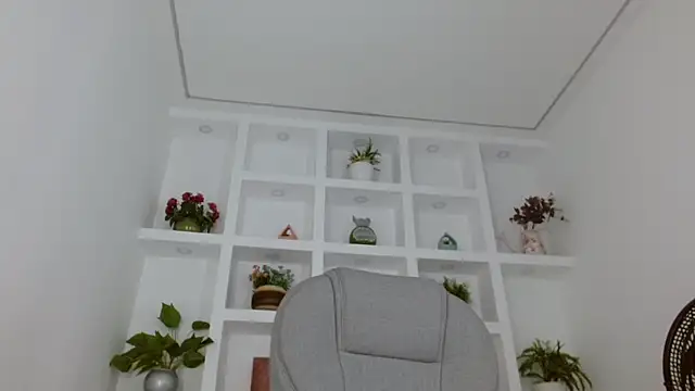 amara sanchez online show from July 26, 2:14 pm