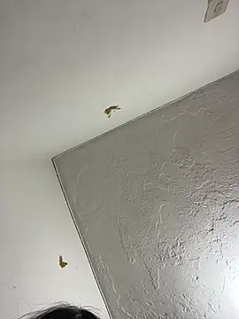 Sophia Rose  online show from July 7, 11:29 pm