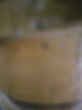 Mian Khalifa 143 online show from July 25, 5:58 am