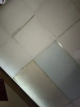 LadyScarlett  online show from July 23, 1:58 am
