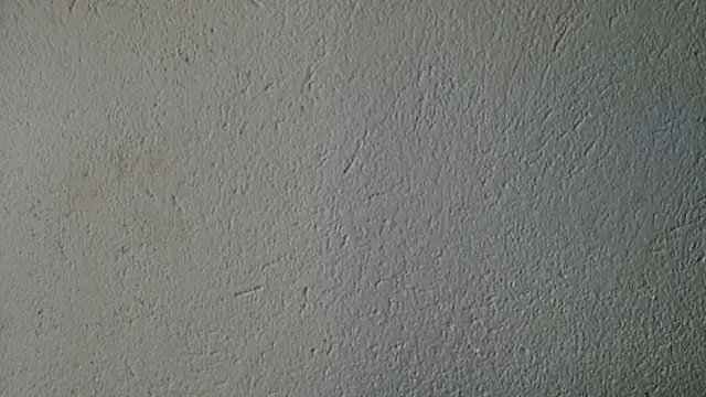 Aesthetic hot online show from July 27, 3:42 pm