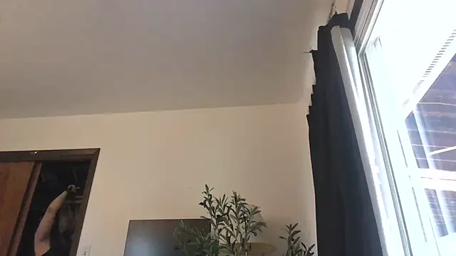 WetFlower69 online show from July 27, 3:31 pm