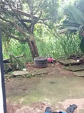 venusandzeusxh online show from February 16, 1:11 pm