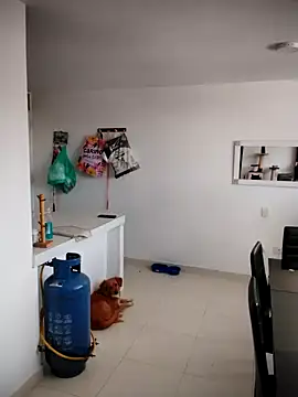 Brenda Berck  online show from October 21, 4:00 pm