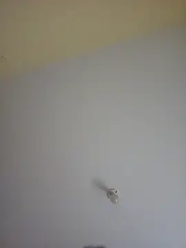 Latin summer online show from February 12, 4:03 am