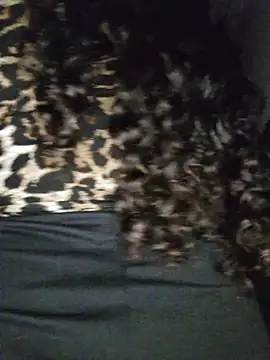 blerstefan1 online show from November 3, 4:27 am