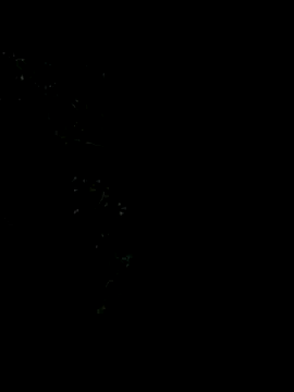 Ixchel Anaid online show from January 5, 11:52 pm