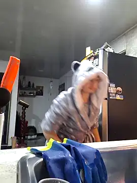 linda-schmidt online show from February 19, 2:55 am