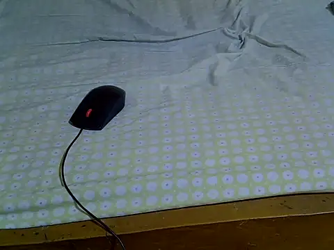 EbonyMina  online show from April 10, 1:39 pm