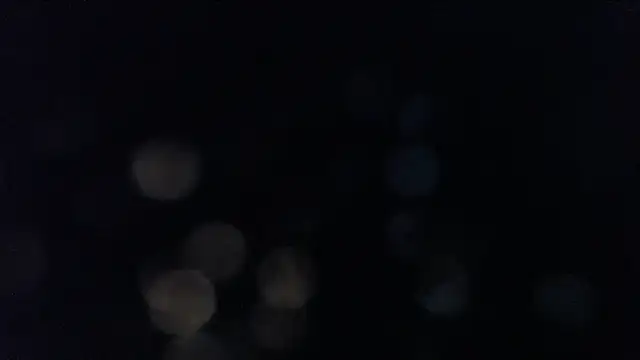 ADRIANNA FOX online show from December 21, 5:17 pm