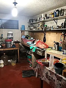 LaInsaciableIntensa online show from February 1, 12:31 am