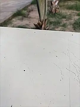 Pitercom online show from April 18, 1:08 am