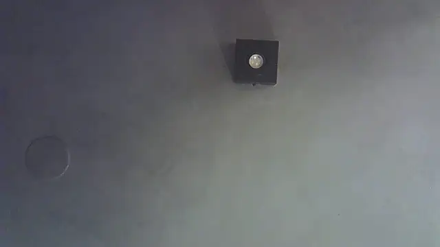 Skinny-Kitten online show from December 16, 5:02 am