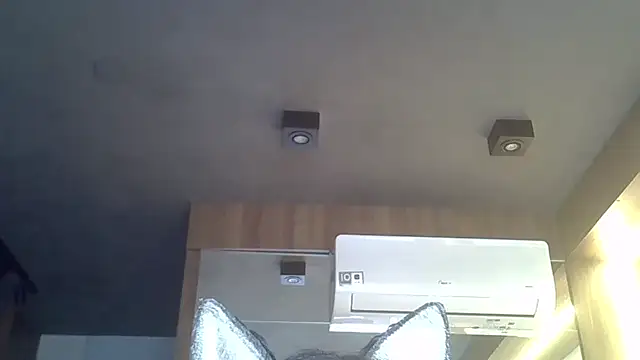 Skinny-Kitten online show from November 6, 9:15 am