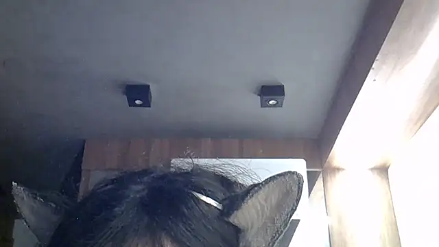 Skinny-Kitten online show from March 14, 4:46 am