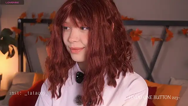 TataCoy online show from November 4, 1:49 pm