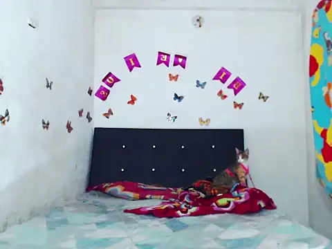 The wickles 4443 online show from December 5, 1:05 am